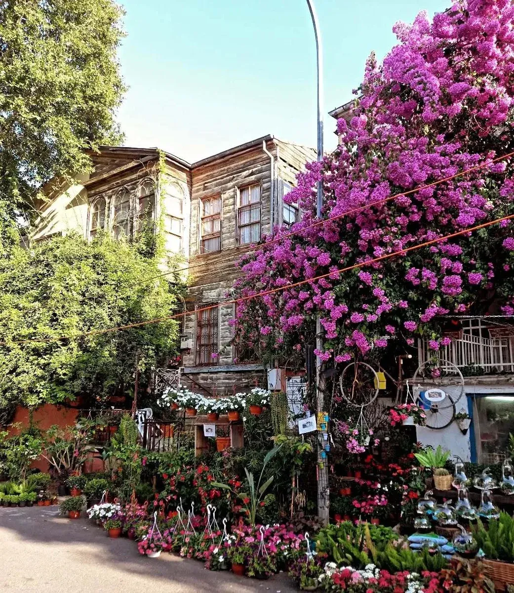 Heybeliada Island Roundtrip Boat Ticket with Audio Guide