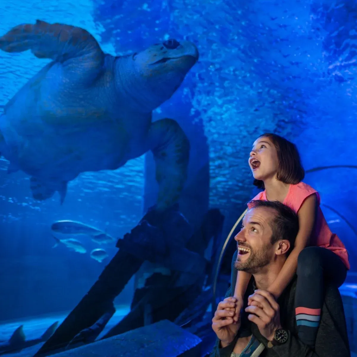 Istanbul Aquarium Entry Ticket