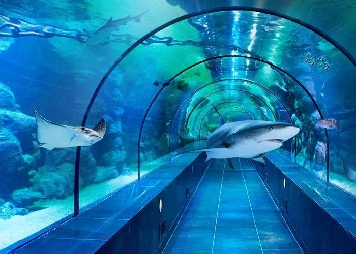 ViaSea Aquarium Entry Ticket