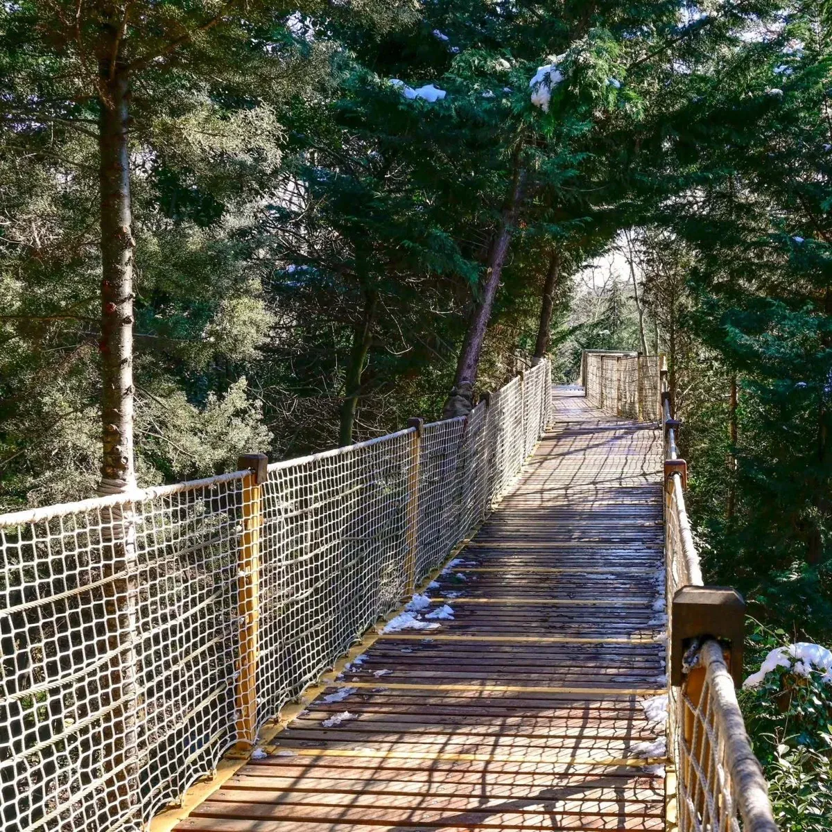 Yildiz Park Walking Tour with Audio Guide