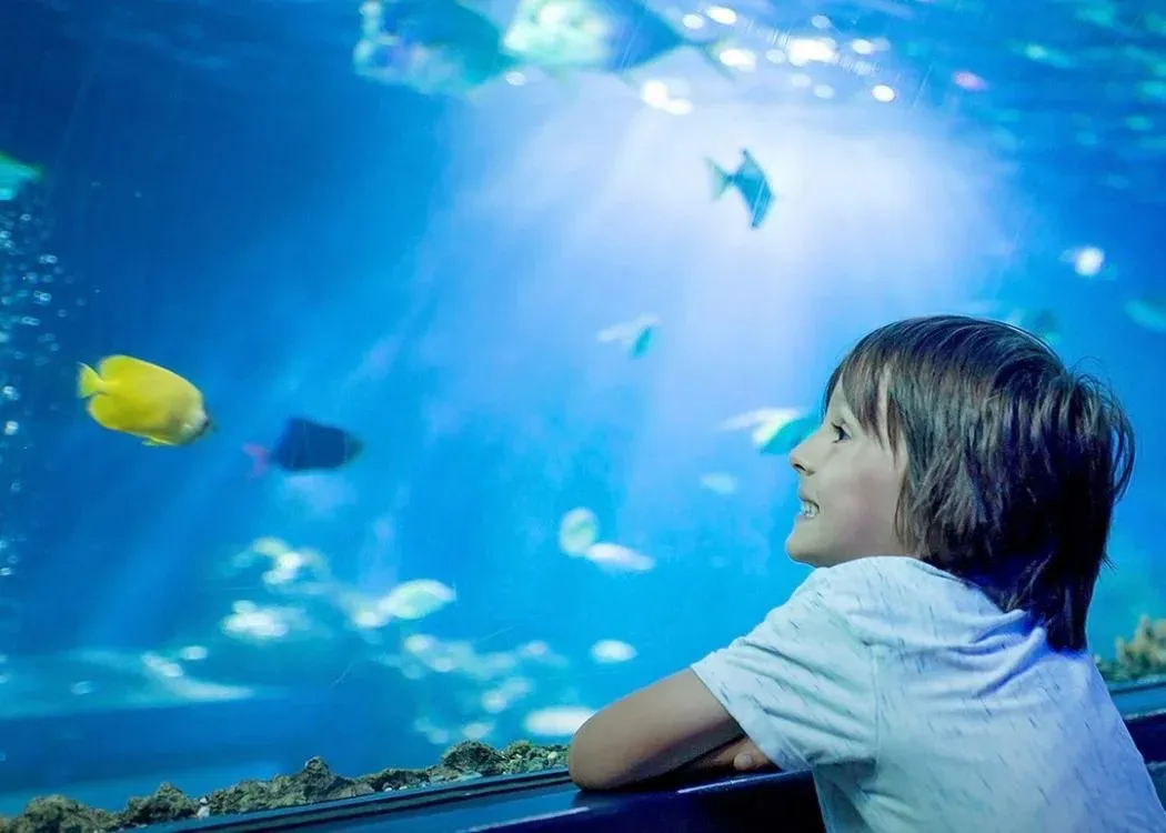 Emaar Aquarium and Underwater Zoo Skip-the-Ticket-Line Entry