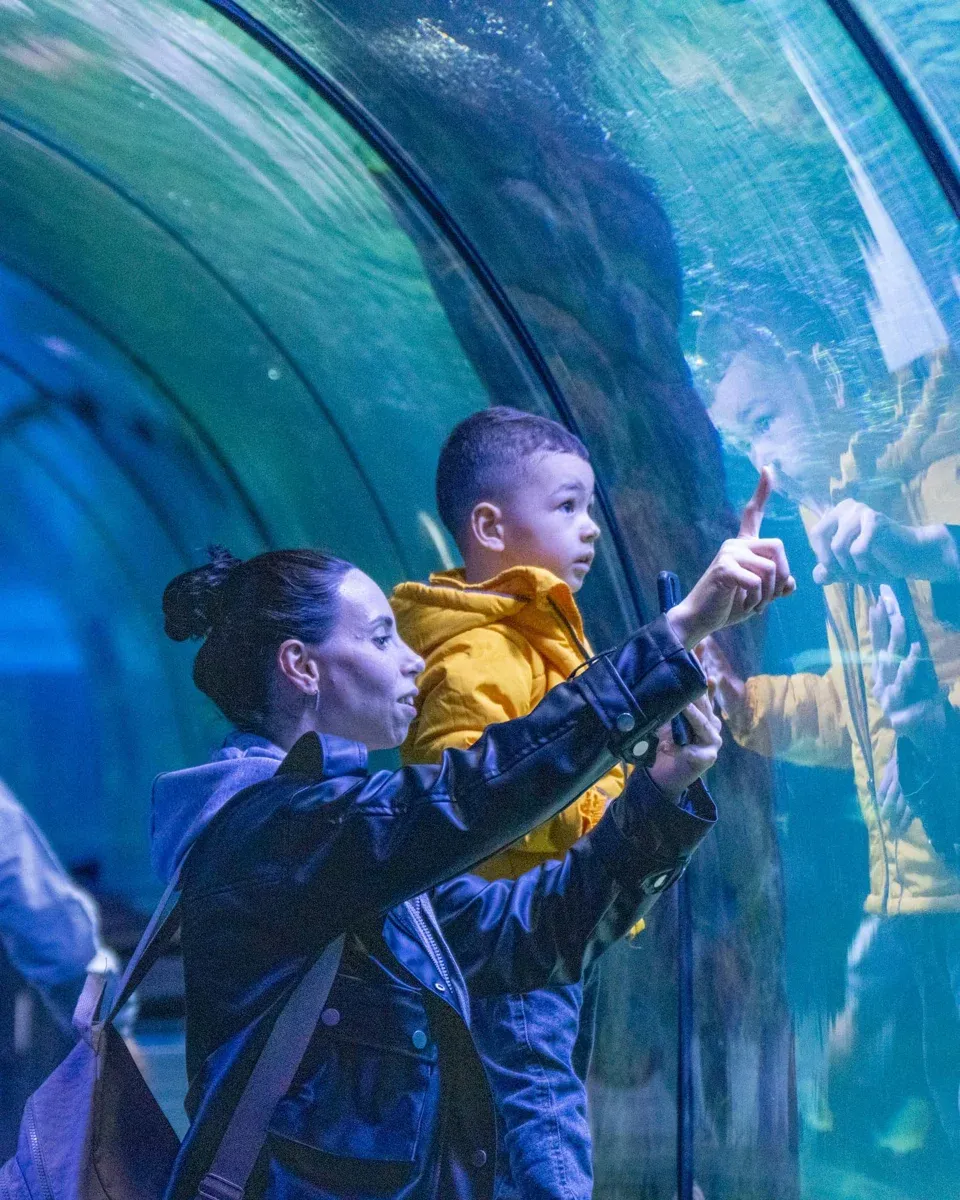 ViaSea Aquarium Entry Ticket