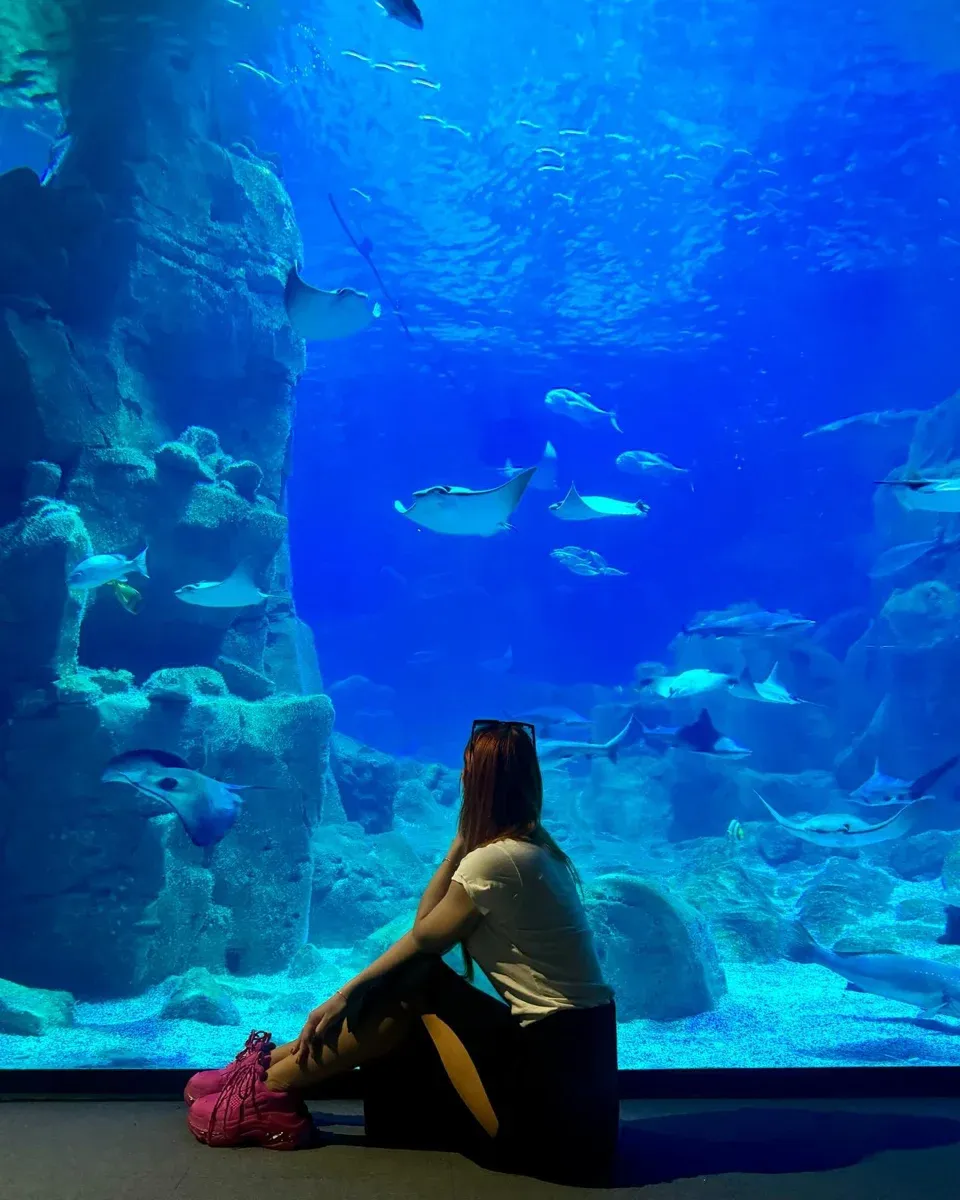 Istanbul Aquarium Entry Ticket