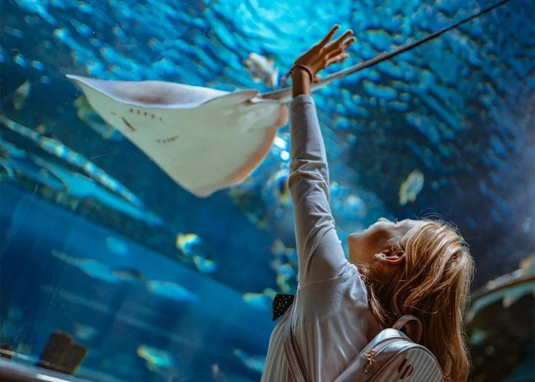 Emaar Aquarium and Underwater Zoo Skip-the-Ticket-Line Entry