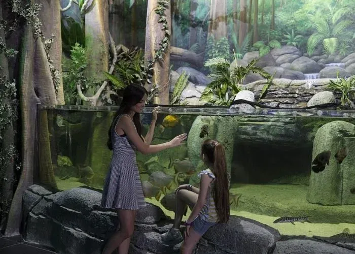 ViaSea Aquarium Entry Ticket