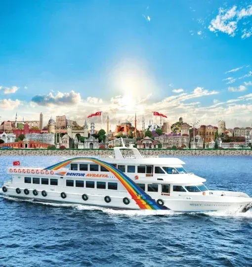 Bosphorus Sightseeing Cruise Entry Ticket with Audio Guide
