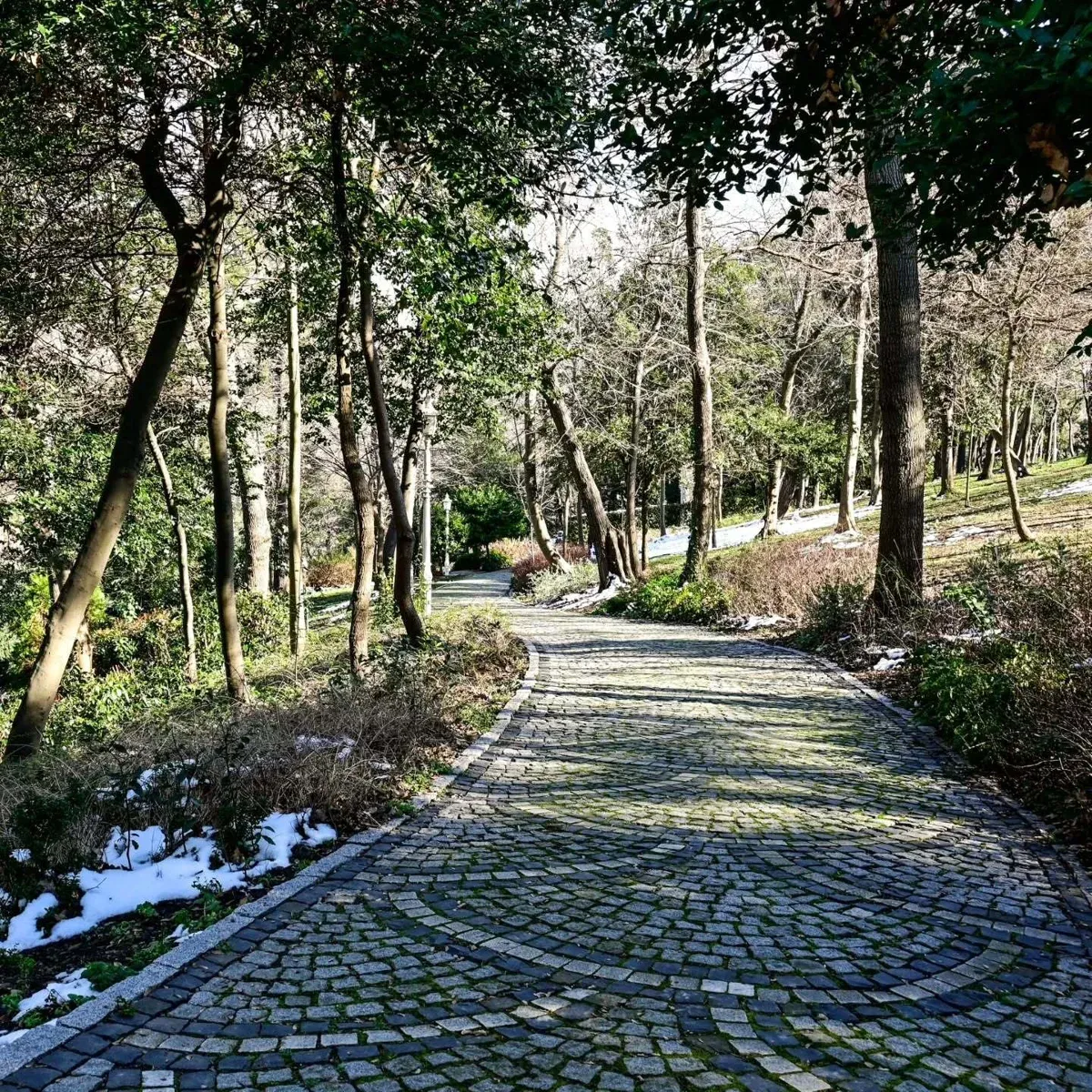 Yildiz Park Walking Tour with Audio Guide