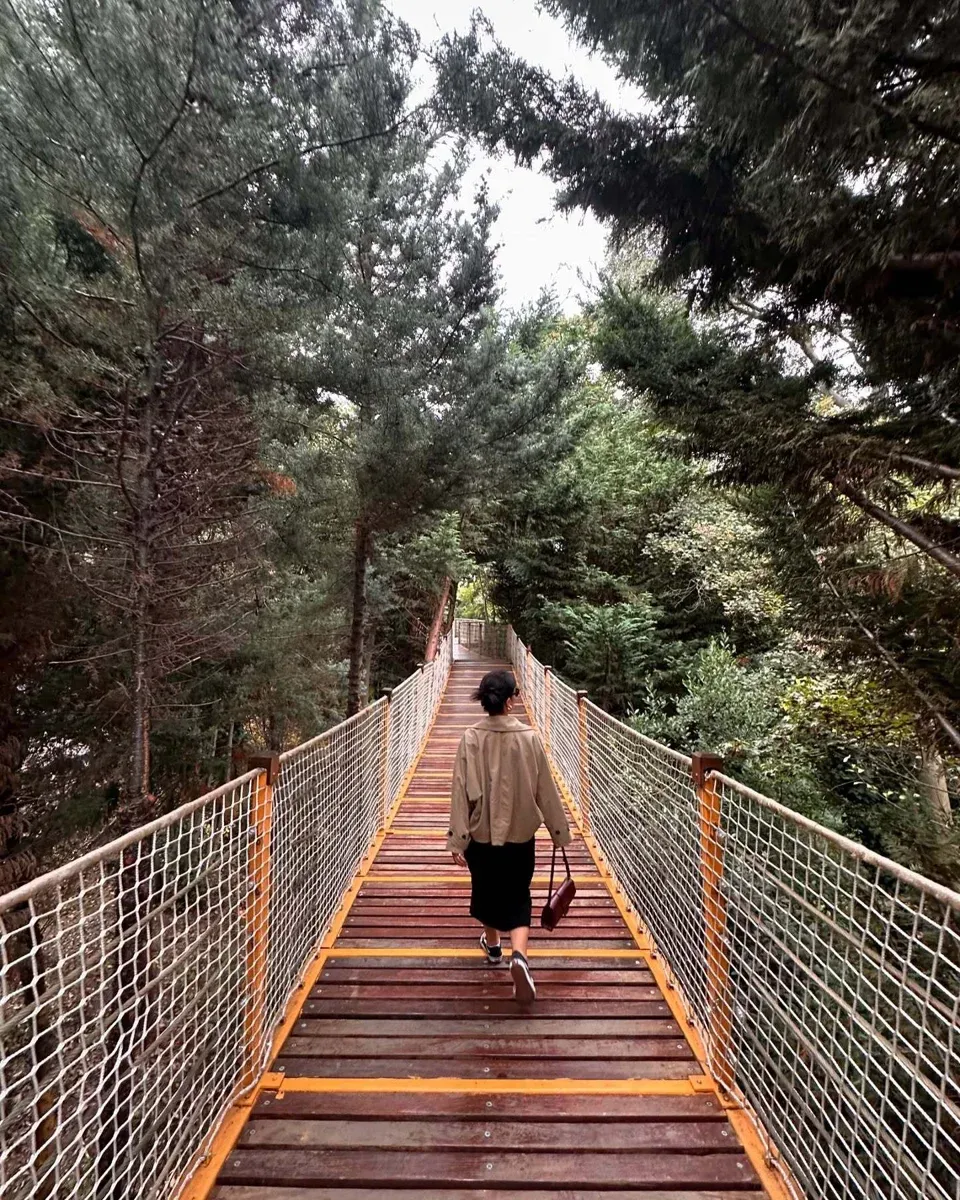 Yildiz Park Walking Tour with Audio Guide