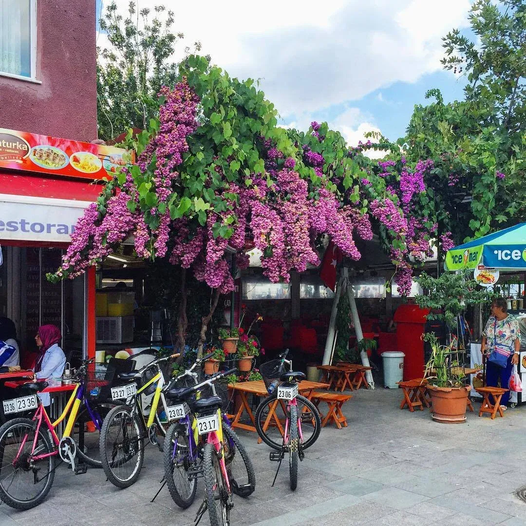 Heybeliada Island Roundtrip Boat Ticket with Audio Guide