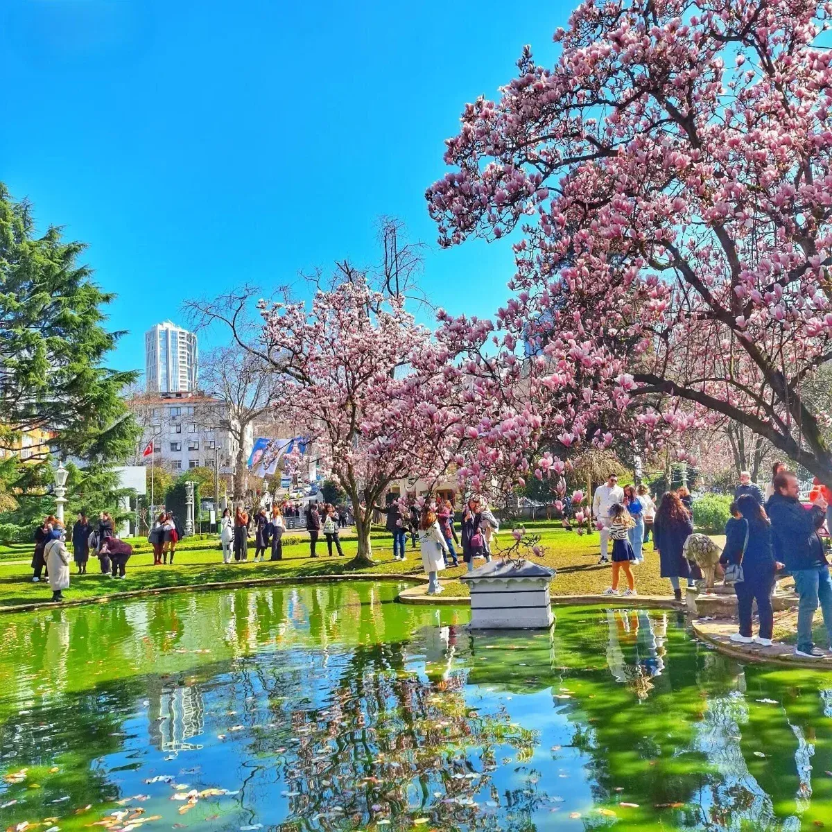 Ihlamur Pavillions Skip-the-Ticket-Line Entry with Audio Guide